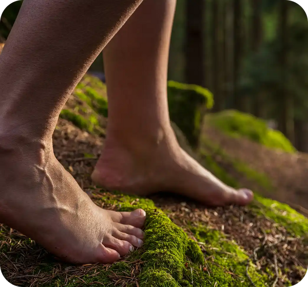 Geographical Footprint