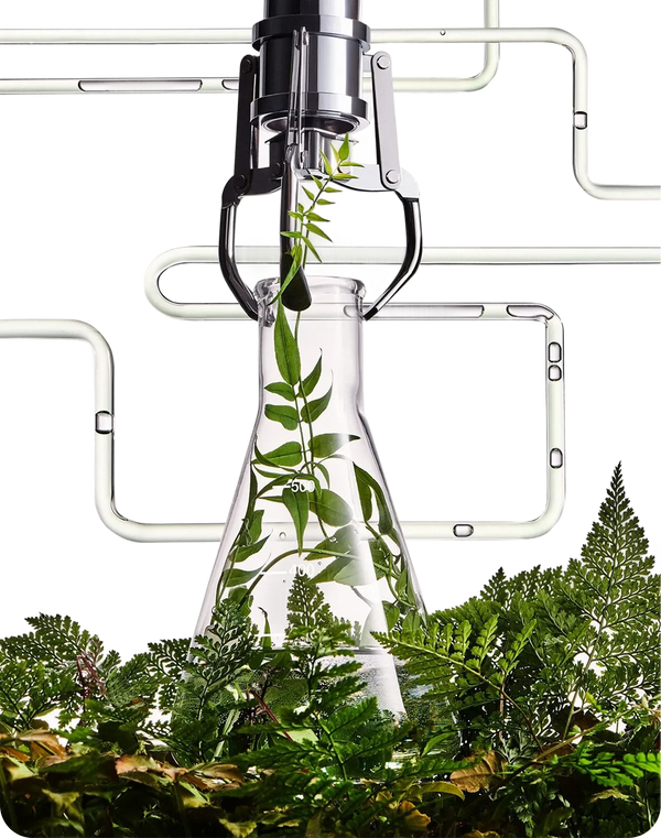Vegan Material Technology